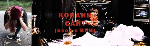 дмт Осинники