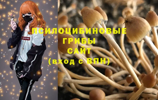 дмт Осинники