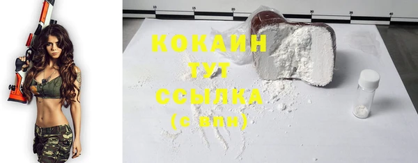 метадон Осташков