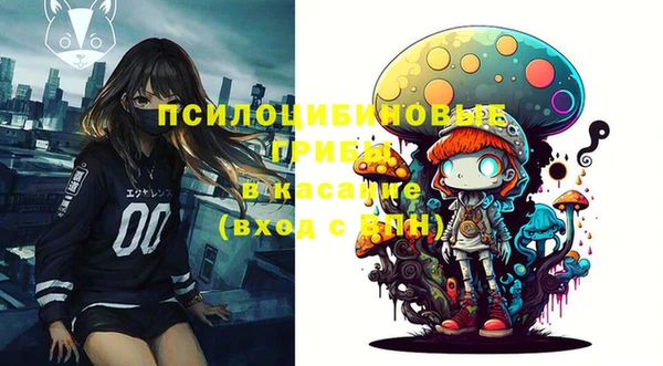 дмт Осинники