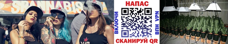 Купить где  Архангельск  Каннабис конопля 